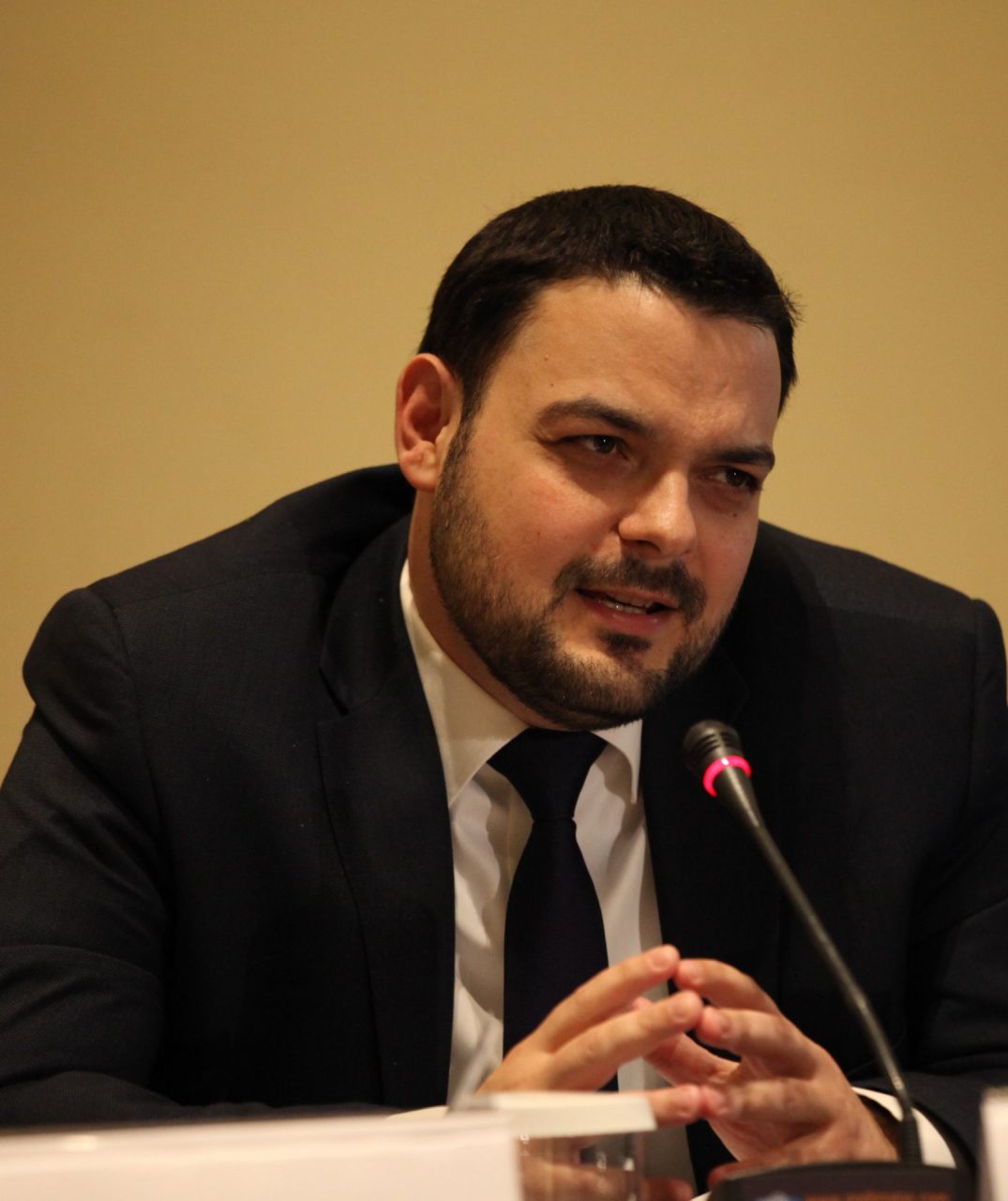 michalis anthropelos speaking